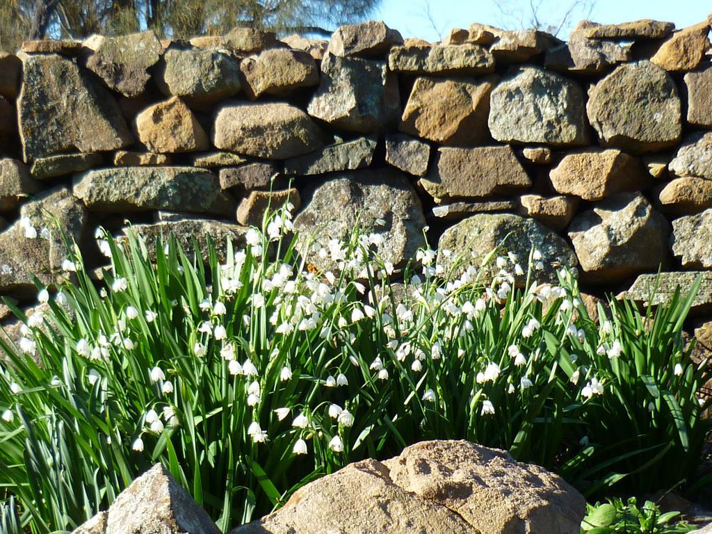 Wagners Cottages Swansea Εξωτερικό φωτογραφία