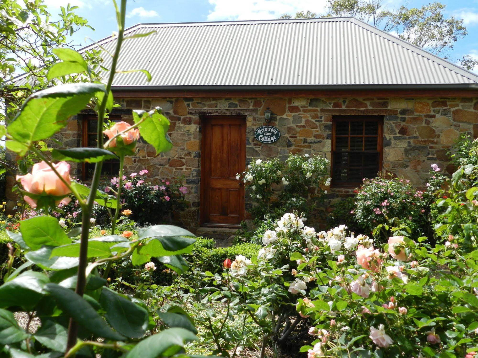 Wagners Cottages Swansea Εξωτερικό φωτογραφία